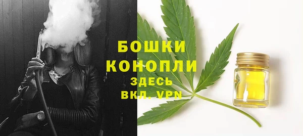PSILOCYBIN Армянск