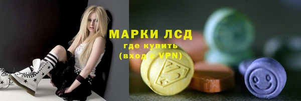 PSILOCYBIN Армянск