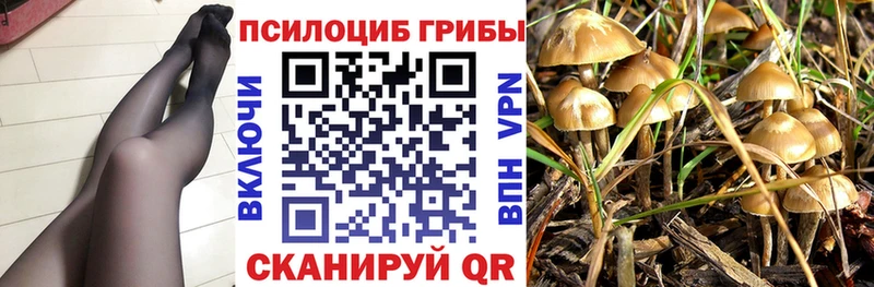 Псилоцибиновые грибы Magic Shrooms  закладки  Байкальск 